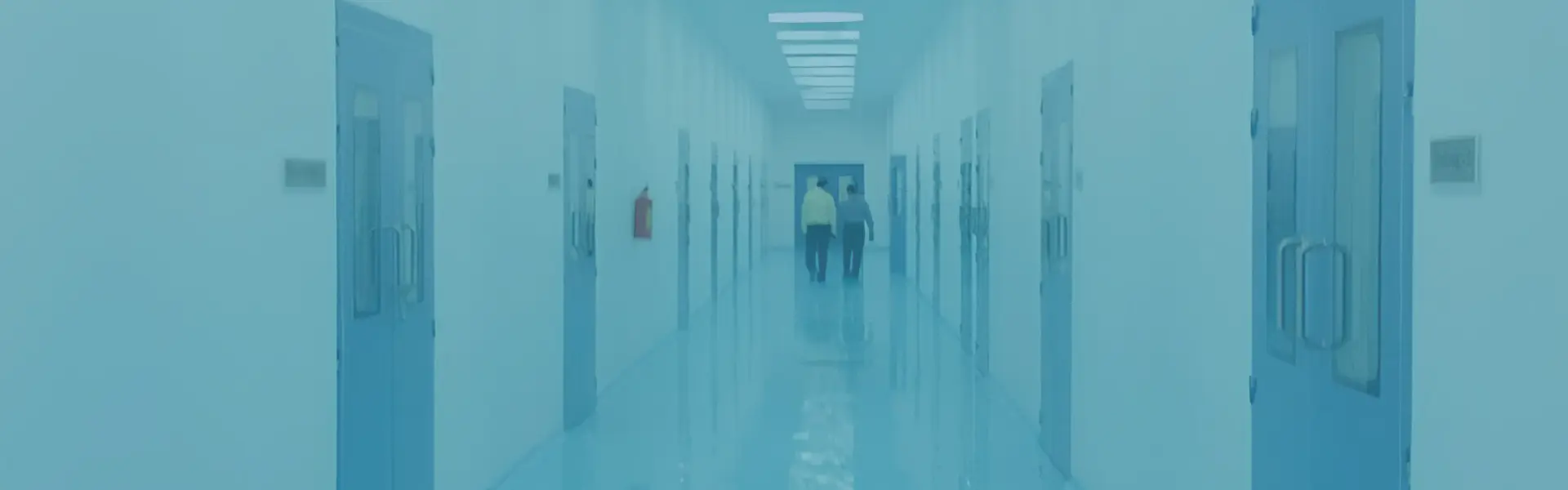 Ajanta Pharma Ltd - Aurangabad